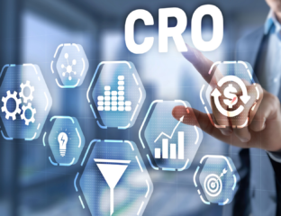 optimizarea ratei de conversie